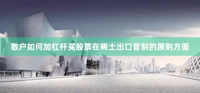 散户如何加杠杆买股票在稀土出口管制的原则方面