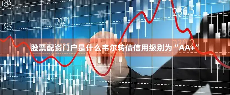 股票配资门户是什么韦尔转债信用级别为“AA+”