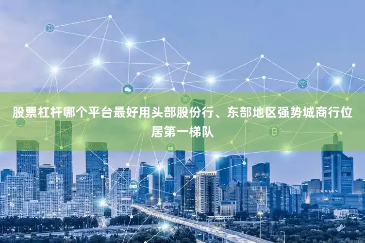 股票杠杆哪个平台最好用头部股份行、东部地区强势城商行位居第一梯队