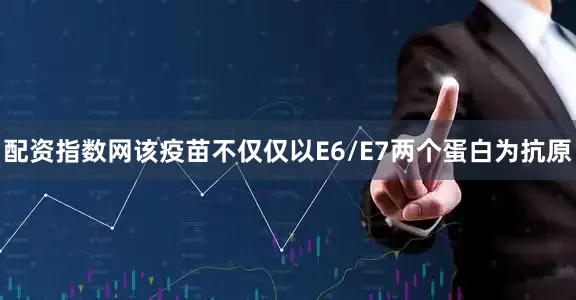 配资指数网该疫苗不仅仅以E6/E7两个蛋白为抗原