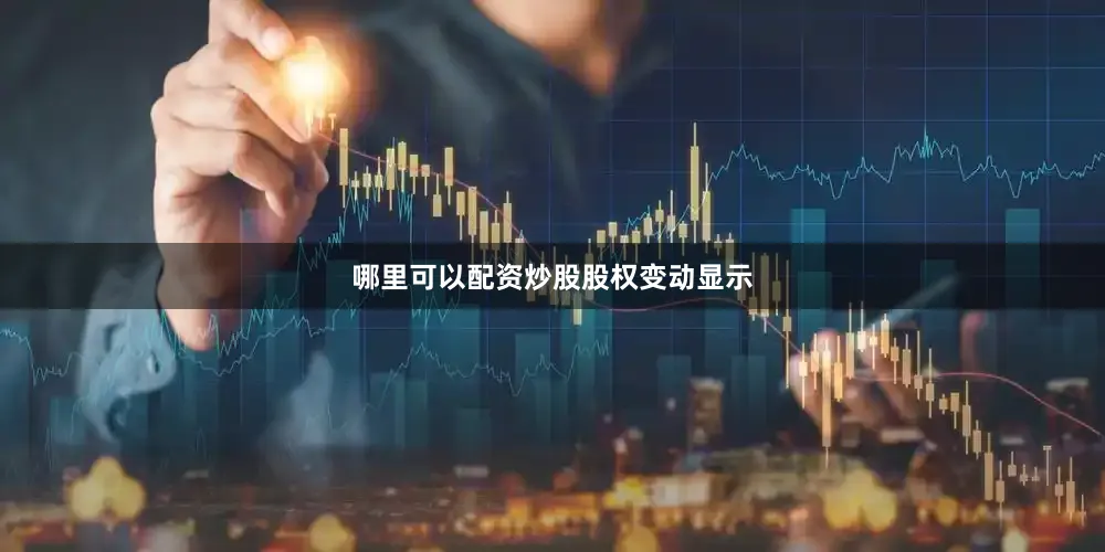哪里可以配资炒股股权变动显示