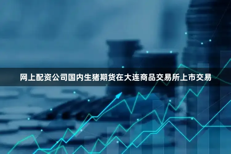 网上配资公司国内生猪期货在大连商品交易所上市交易