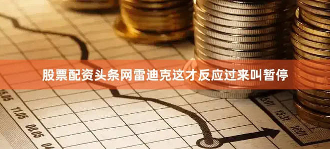 股票配资头条网雷迪克这才反应过来叫暂停